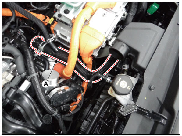 Water Temperature Control Assembly