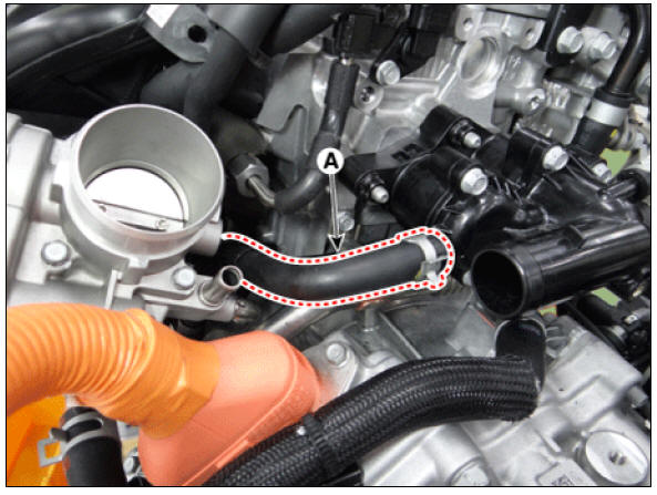 Water Temperature Control Assembly