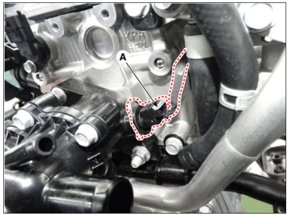Water Temperature Control Assembly