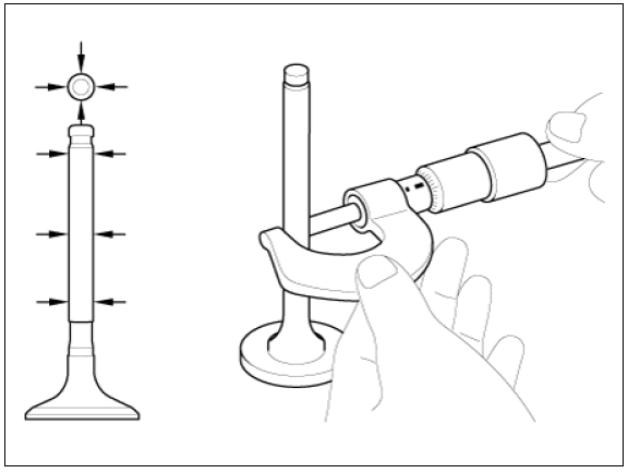 Valve And Valve Spring