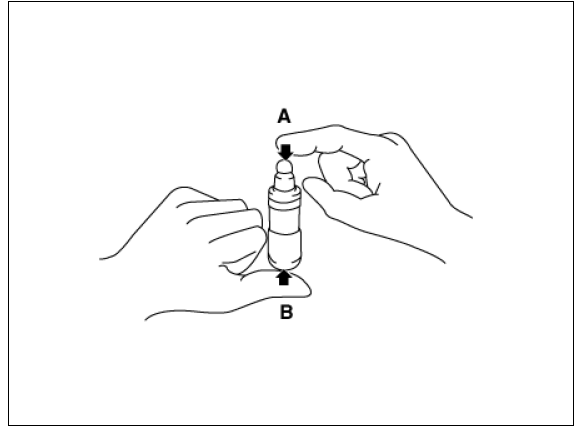 HLA (Hydraulic Lash Adjuster)