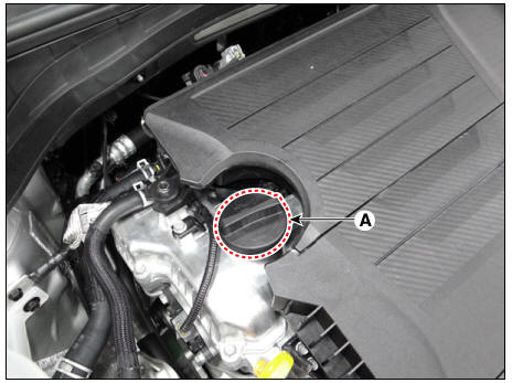 Engine Oil Appearance