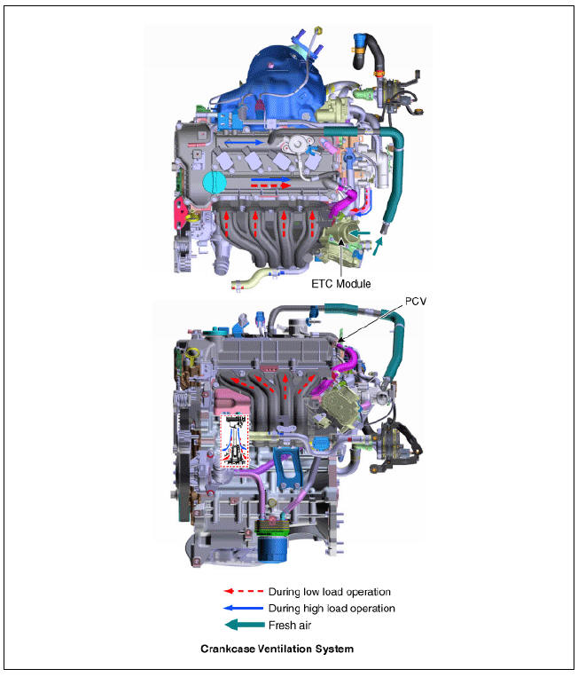 Crankcase Emission Control System