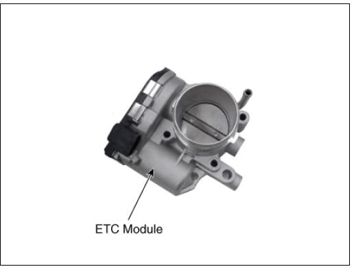 ETC Motor