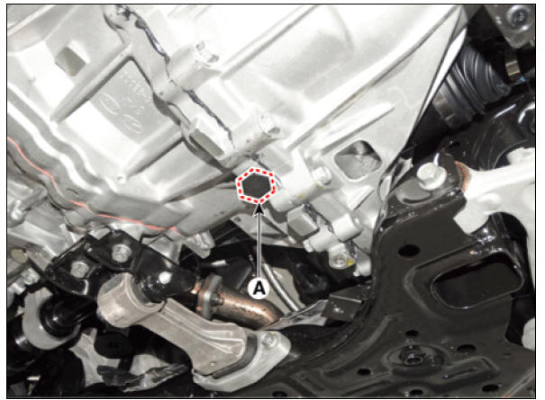 Oil Level Check