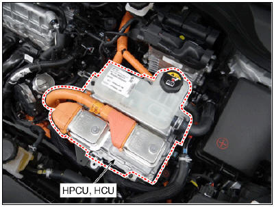 Brake Switch