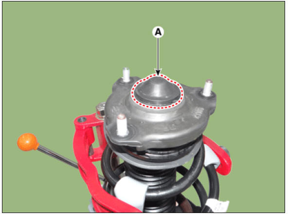 Front Strut Assembly Repair procedures