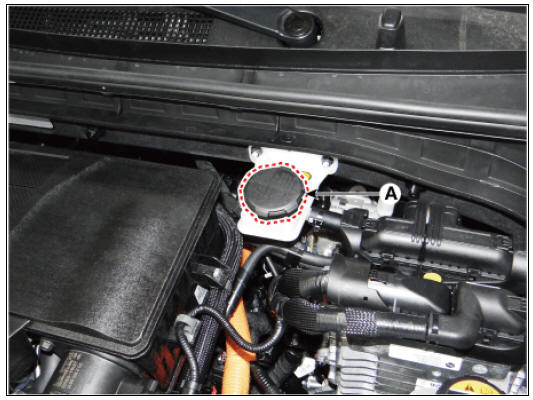 Air Bleeding Tool Removal Procedure