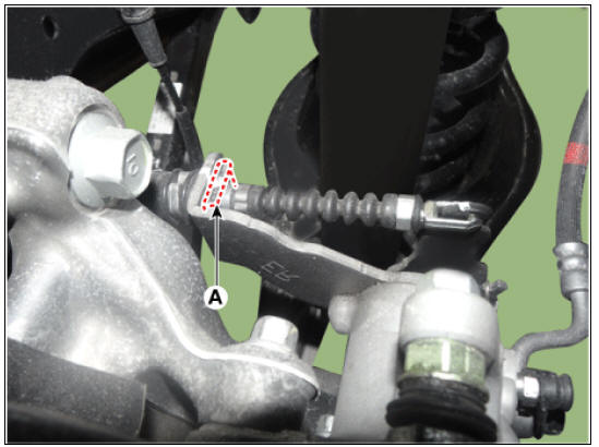 Rear Disc Brake