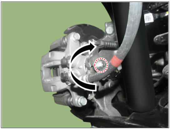 Rear Disc Brake