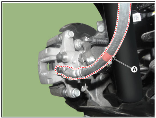 Rear Disc Brake