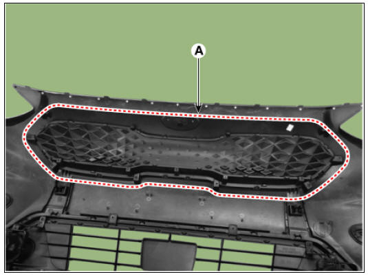 Radiator Grille