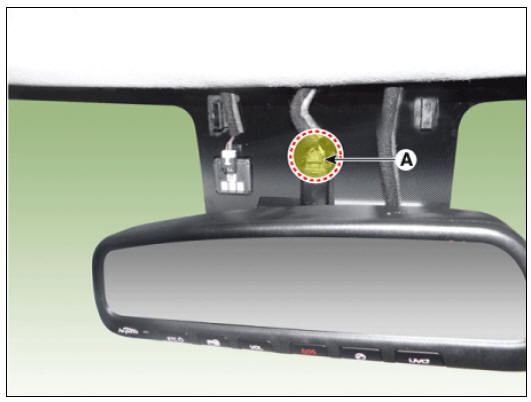 Inside Rear View Mirror 