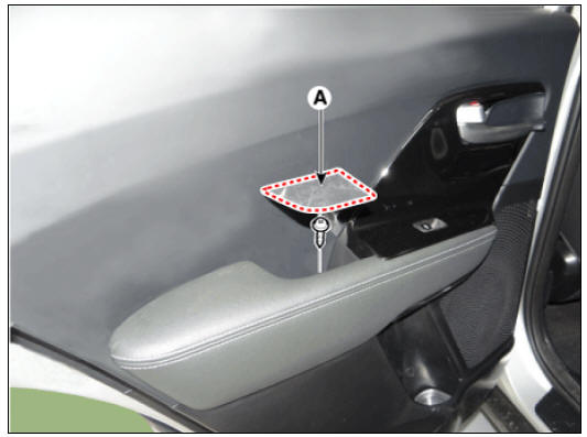 Rear Door Trim Repair procedures