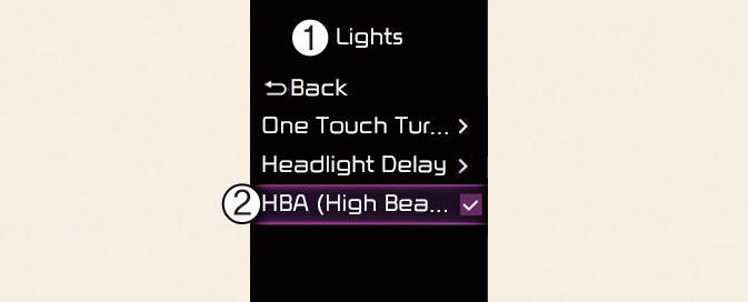 High Beam Assist Setting