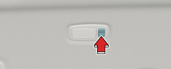 Vanity mirror lamp (if equipped) (Kia Niro EV)