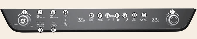 Type A