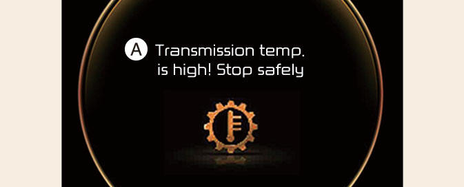 Shift dial SBW type of DCT warning messages