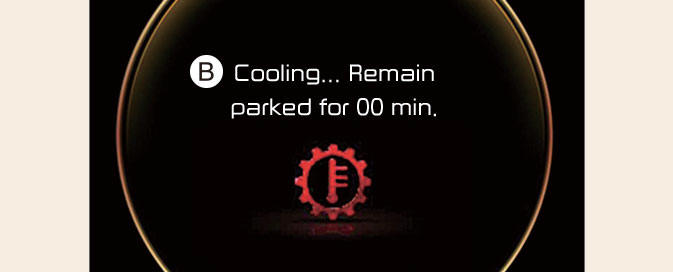 Shift dial SBW type of DCT warning messages