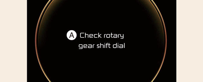 Shift dial SBW type of LCD display messages