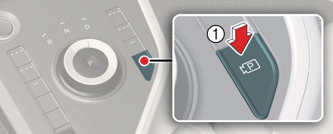 Parking/View button