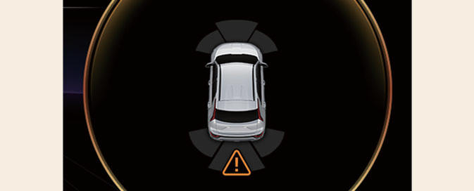 Parking Collision-Avoidance Assist malfunction