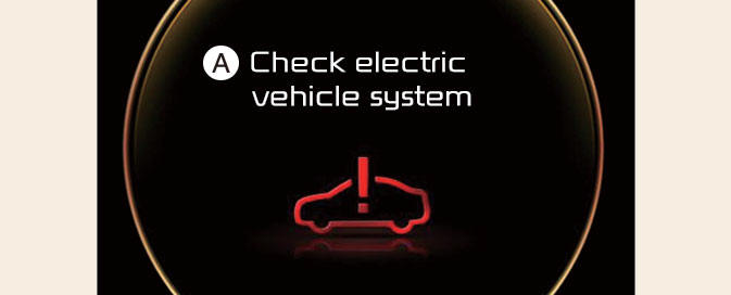 Check electric vehicle system