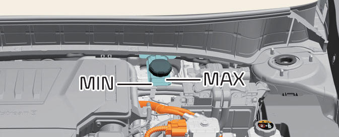 Checking brake fluid level (Kia NIRO Hybrid)