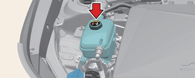 Coolant