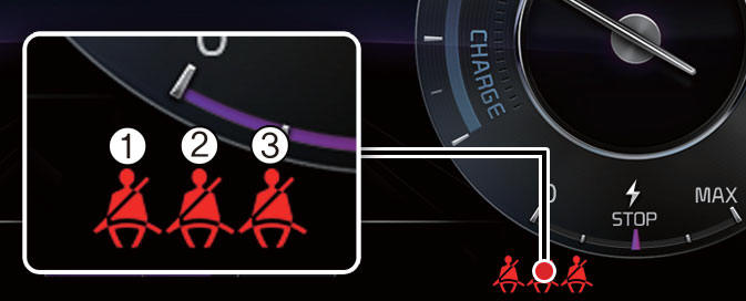 Rear passenger seat belt warning lights ( Kia Niro EV)