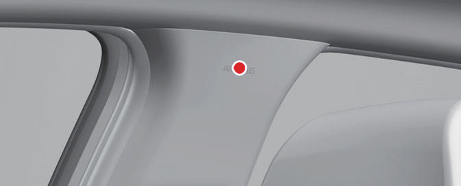 Curtain air bag 