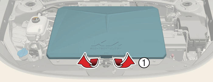 Opening the front trunk