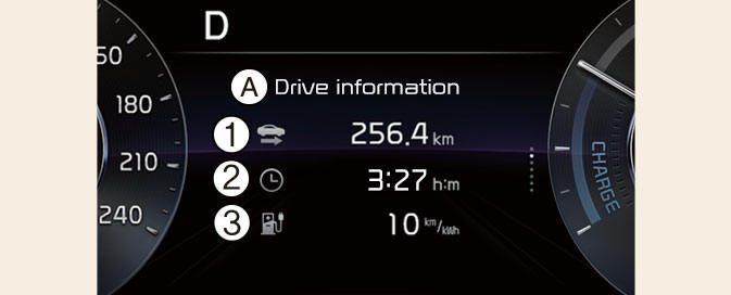 Drive Info